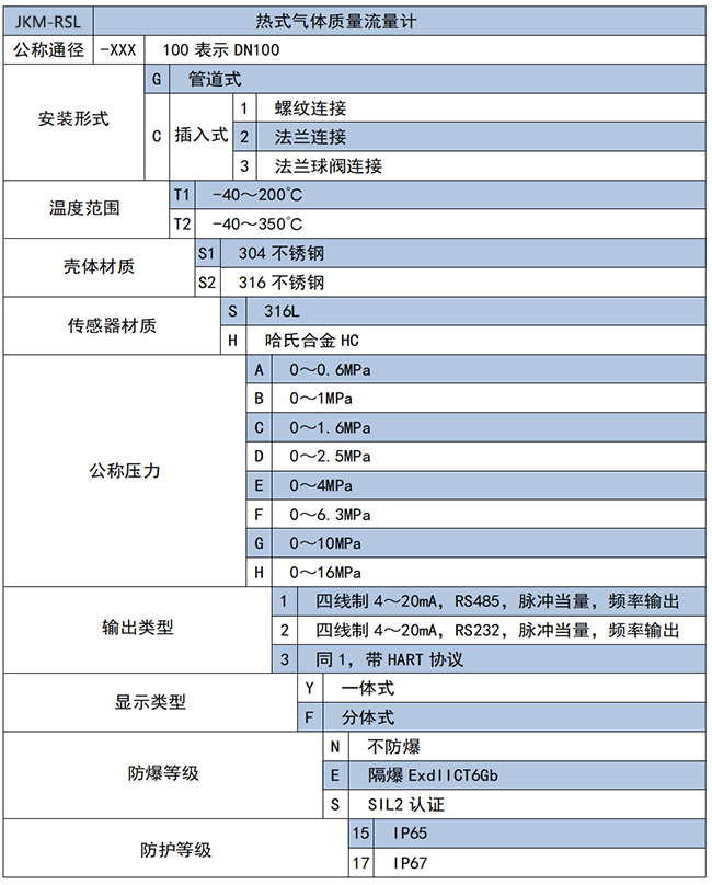 DN250熱式氣體質量流量計選項表